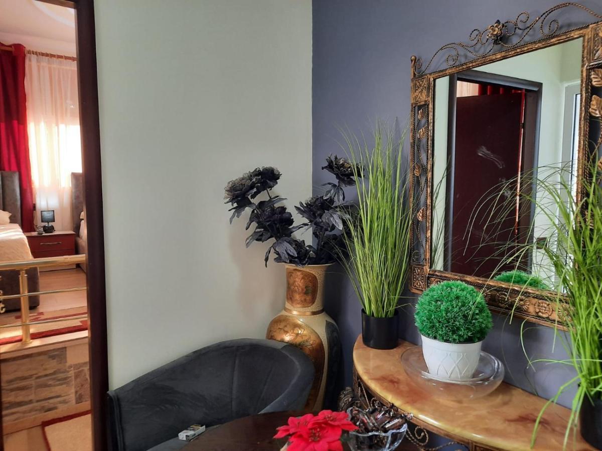 Villa 53 Тирана Екстериор снимка
